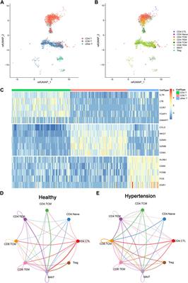 Single-cell transcriptome profiling reveals enriched memory T-cell subpopulations in hypertension